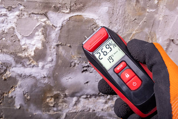 Best Certified Mold Removal  in Rawlins, WY